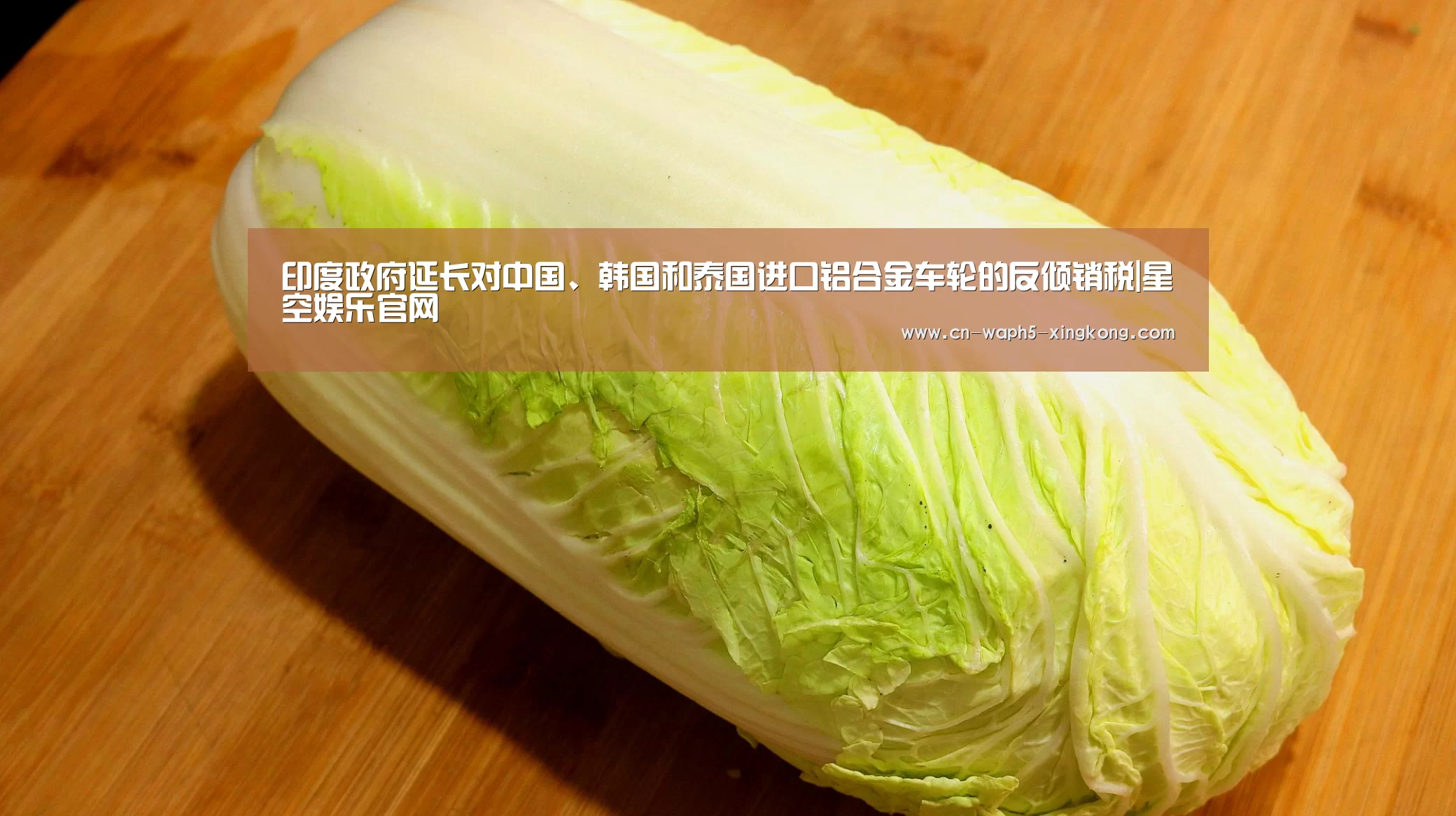 星空娱乐下载