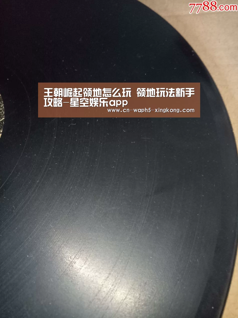 星空娱乐