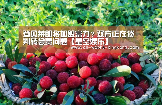 登贝莱即将加盟富力?双方正在谈判转会费问题【星空娱乐】(图4) 星空娱乐官网